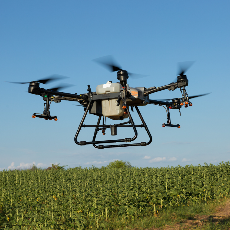 Drone