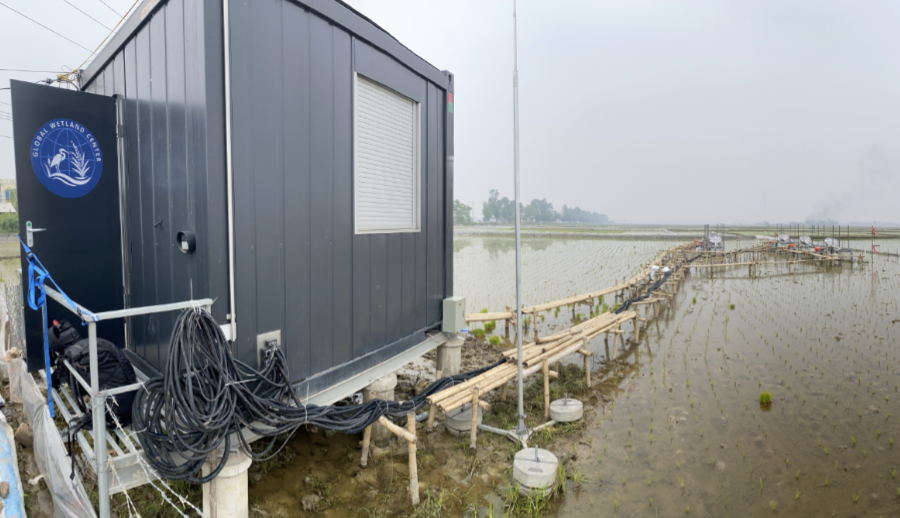 Wetlands